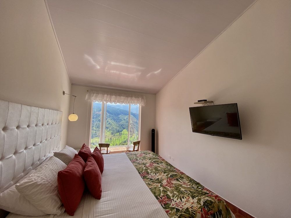 Superior Double or Twin Room, Mountain View