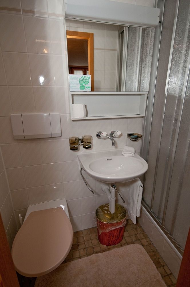 Hotel Edelweiss Wengen Budget Twin Room 2