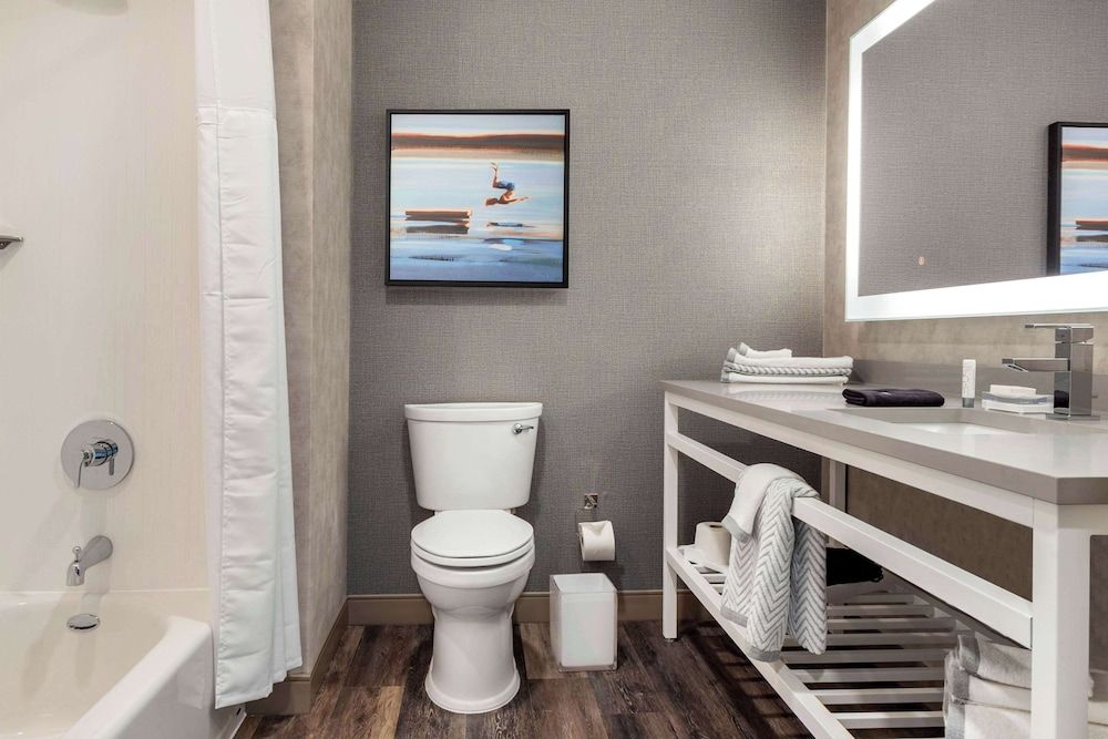 DoubleTree by Hilton Summerville Nexton Room, 1 King Bed 6