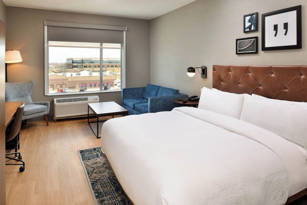 Suite, 1 King Bed with Sofa bed