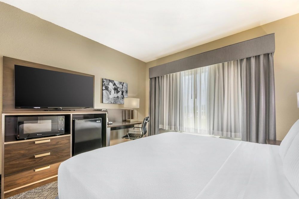 Suite, 1 King Bed, Non Smoking, Refrigerator & Microwave (with Sofabed)