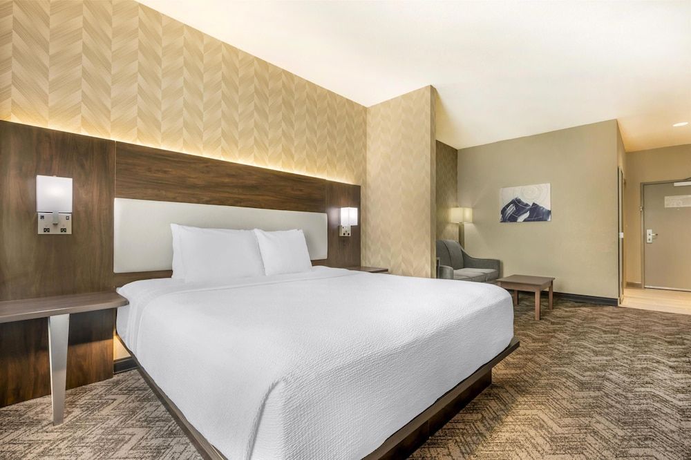 Suite, 1 King Bed, Non Smoking, Refrigerator & Microwave (with Sofabed)