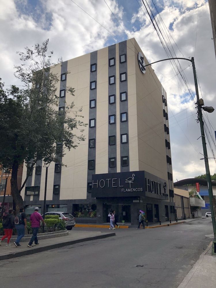 undefined Hotel Flamencos Centro Histórico 8