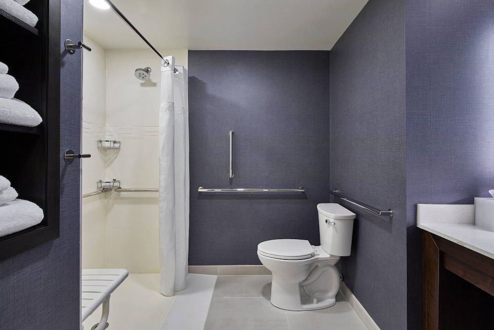 Studio, 1 King Bed with Sofa bed (Mobility Accessible, Roll-In Shower)