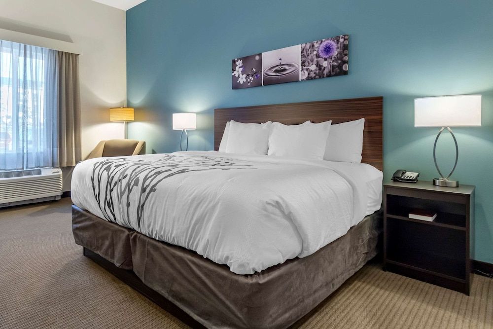 Room, 1 King Bed, Accessible, Non Smoking