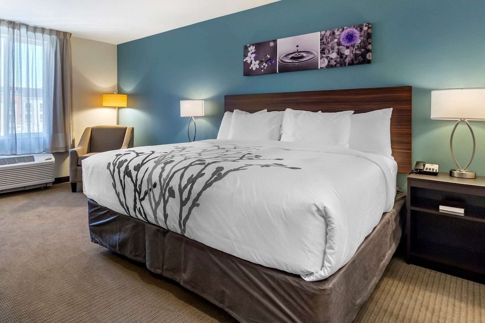 Standard Room, 1 King Bed, Non Smoking
