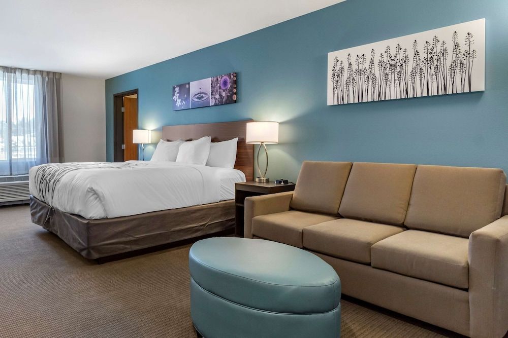 Suite, 1 King Bed with Sofa bed, Non Smoking