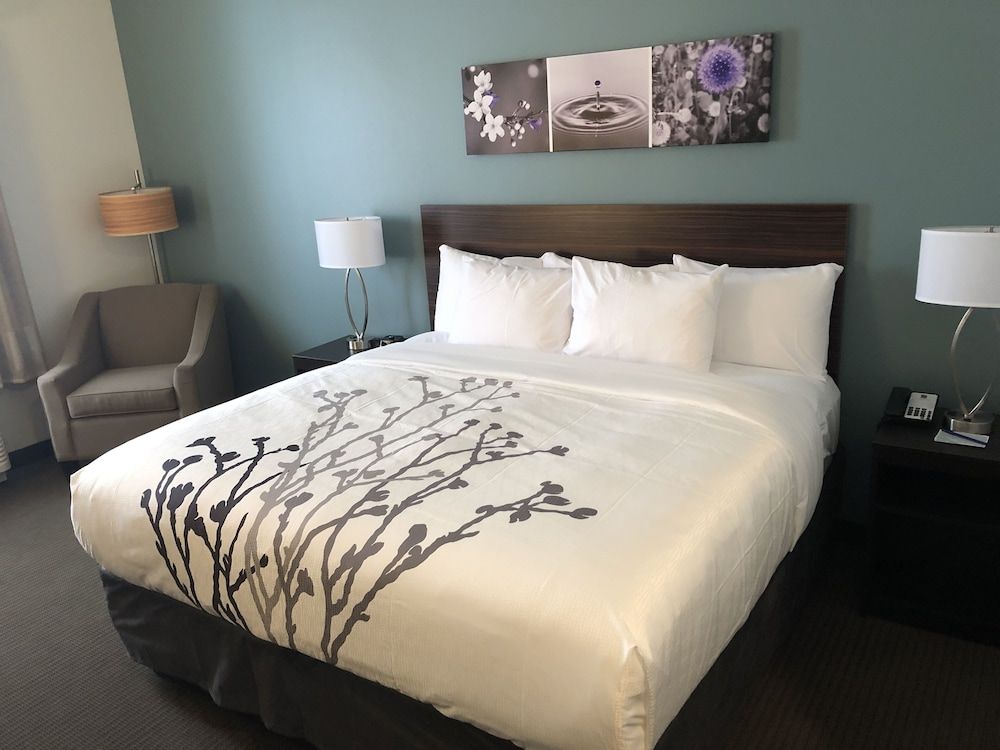 Room, 1 King Bed, Accessible, Non Smoking