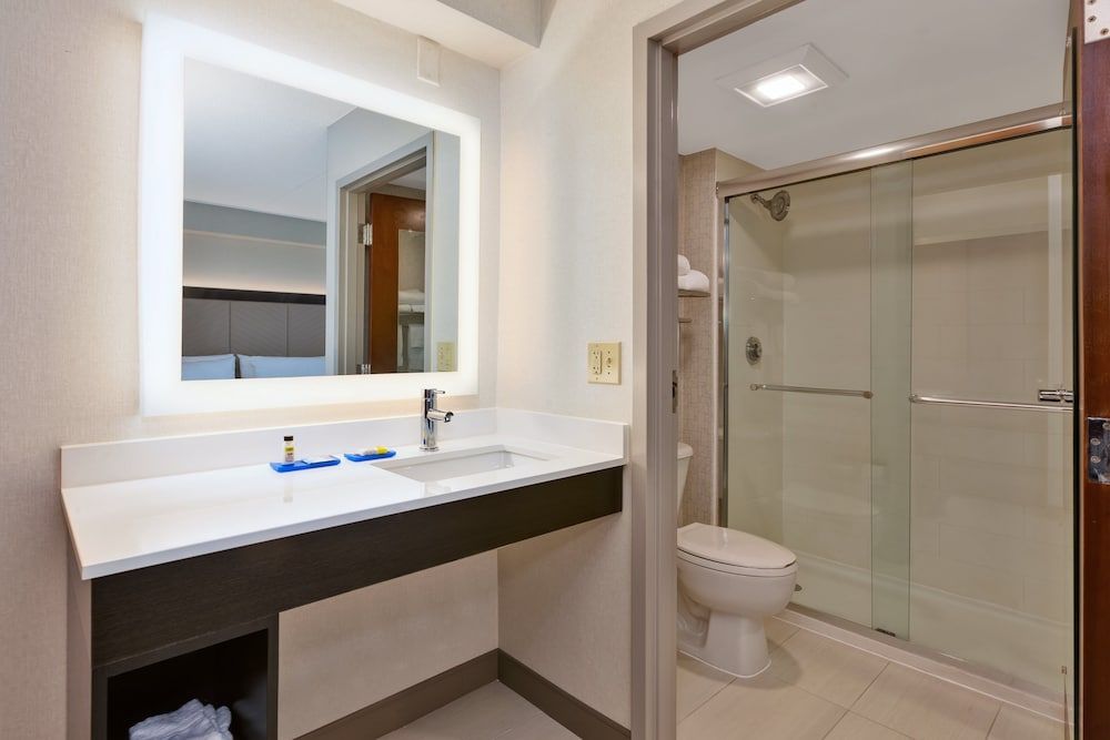 Suite, 1 King Bed