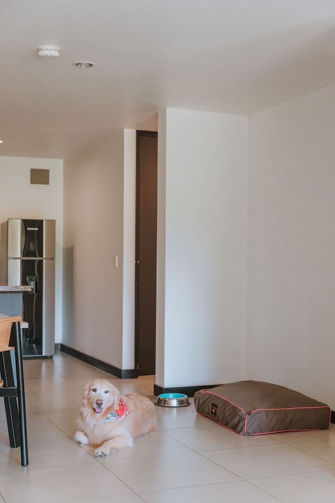 Travelers Rio Verde Living Suites Superior Apartment, 1 Bedroom 15