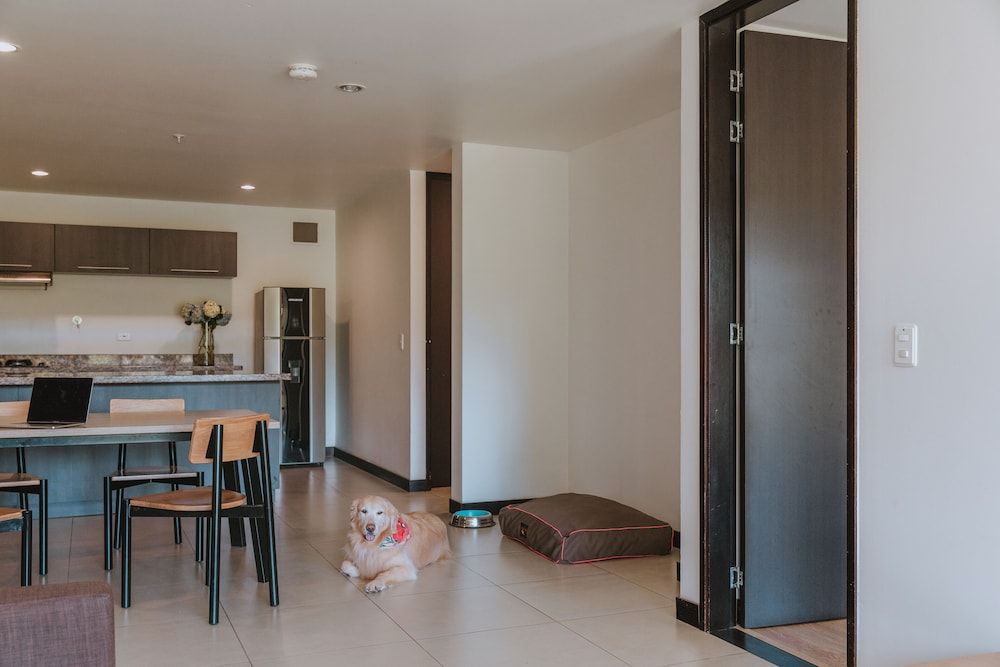 Travelers Rio Verde Living Suites Superior Apartment, 1 Bedroom 16