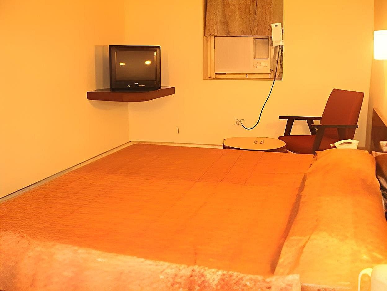 Ranjit Hotel Standard Non A/C Room 7