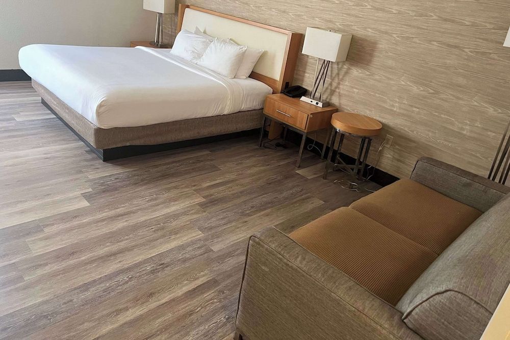 Standard Room, 1 King Bed, Non Smoking