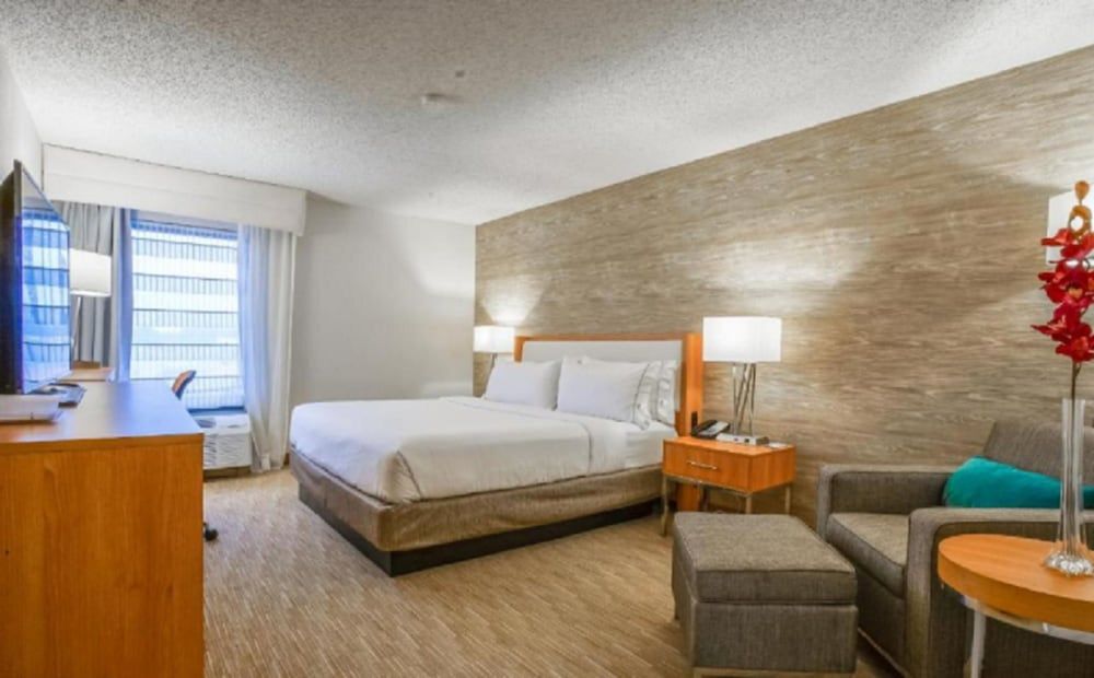Room, 1 King Bed, Accessible, Non Smoking