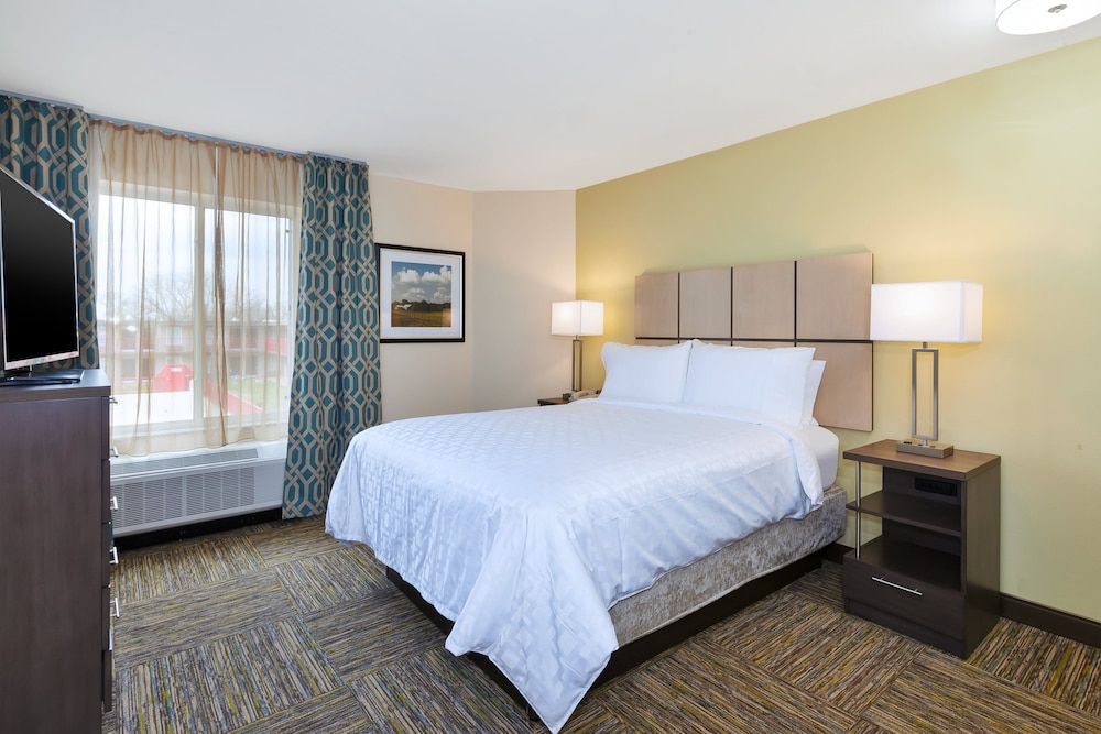 Suite, 1 Queen Bed