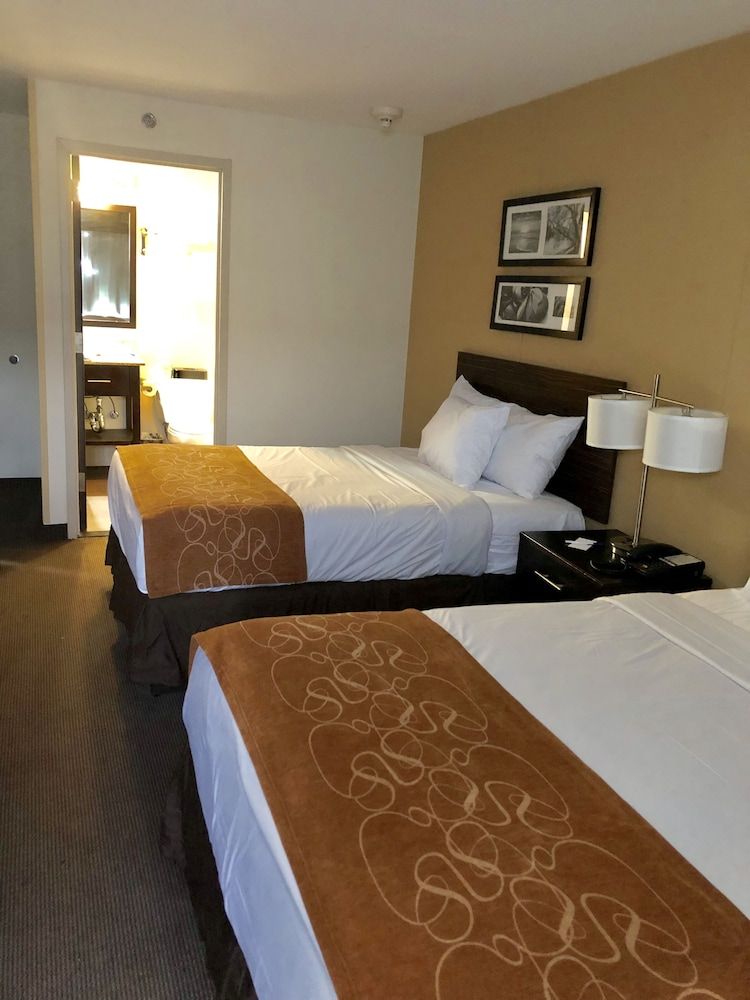Room, 2 Double Beds, Non Smoking
