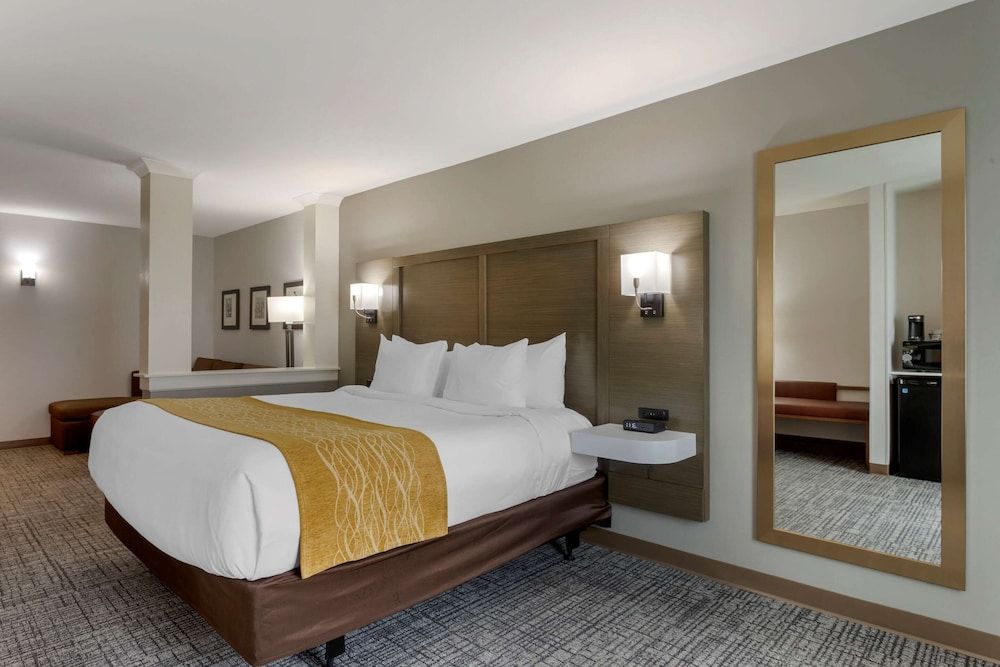 Suite, 1 King Bed with Sofa bed, Accessible, Non Smoking