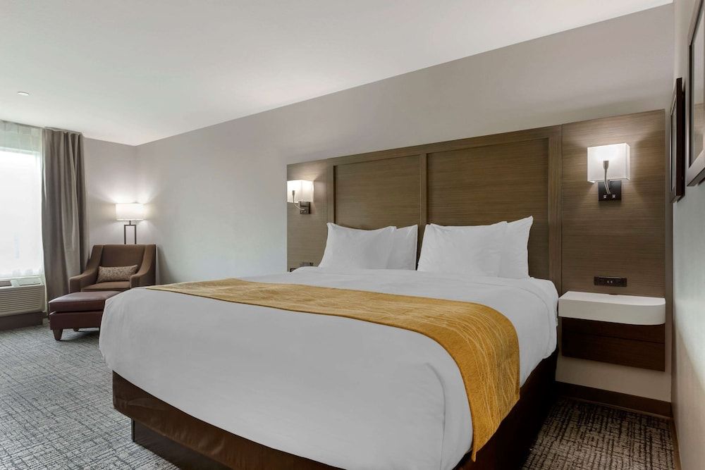 Room, 1 King Bed, Accessible, Non Smoking (Roll-In Shower)