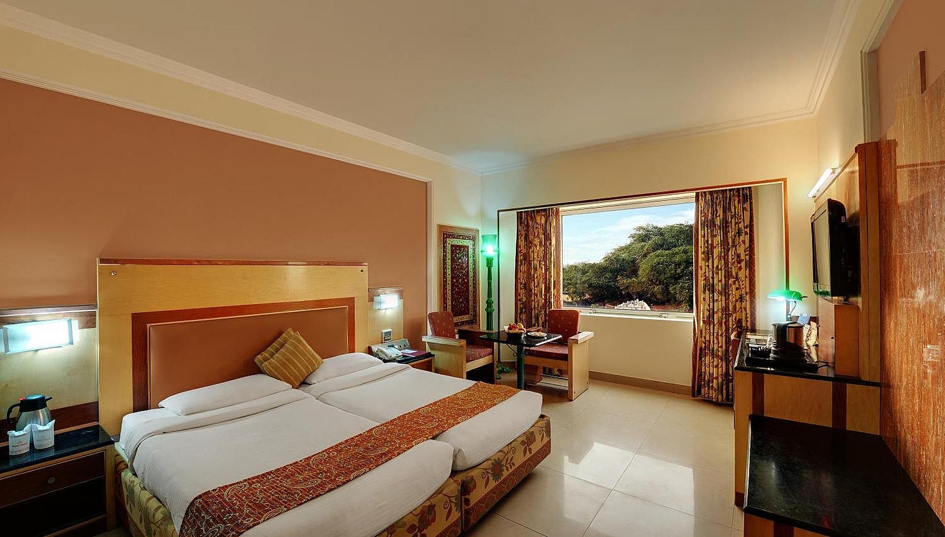 Hotel Amar Mughal Room 3