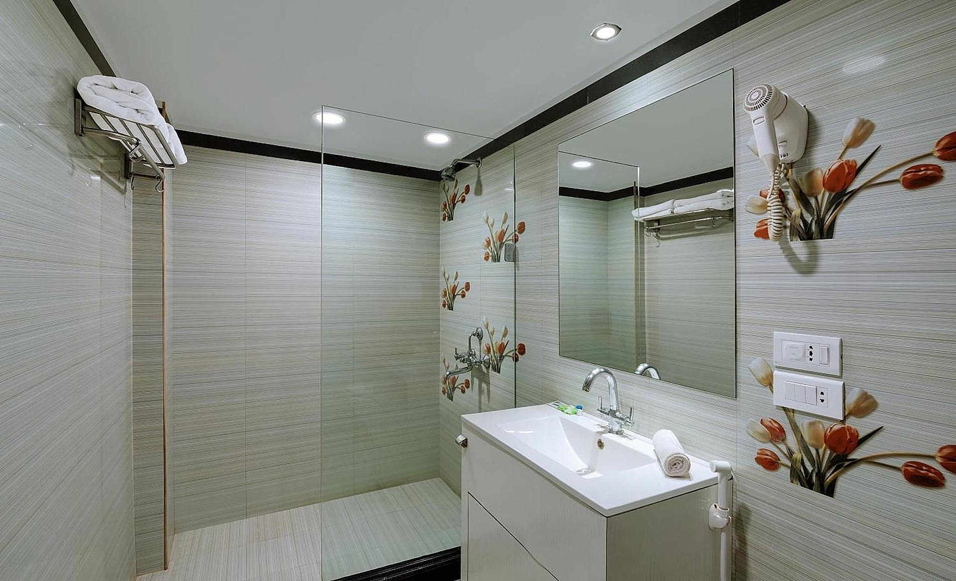 Hotel Amar Mughal Room 5