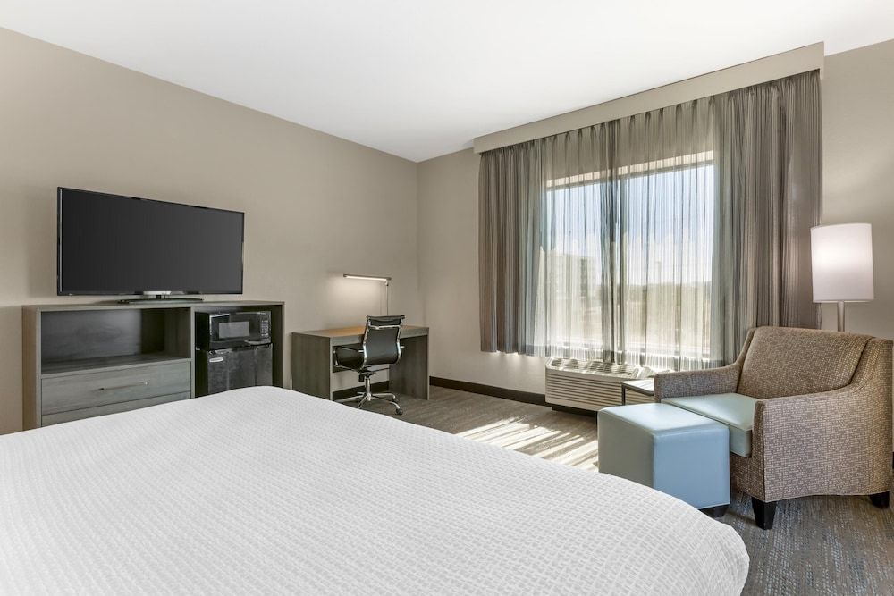 Standard Room, 1 King Bed, Non Smoking, Patio (Larger Room)