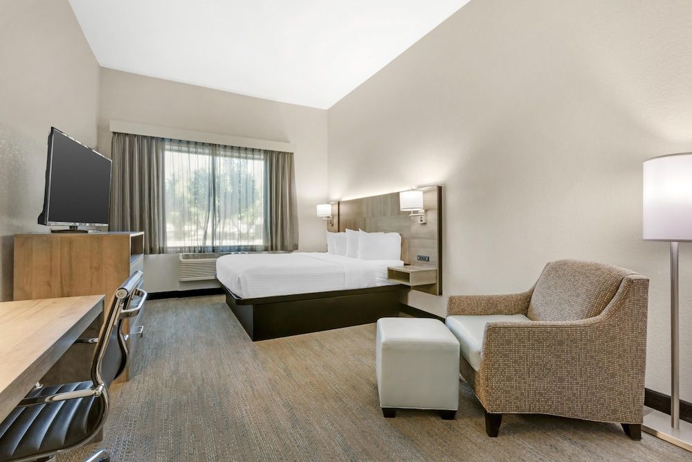 Suite, 1 King Bed, Non Smoking, Kitchenette (with Sofabed)