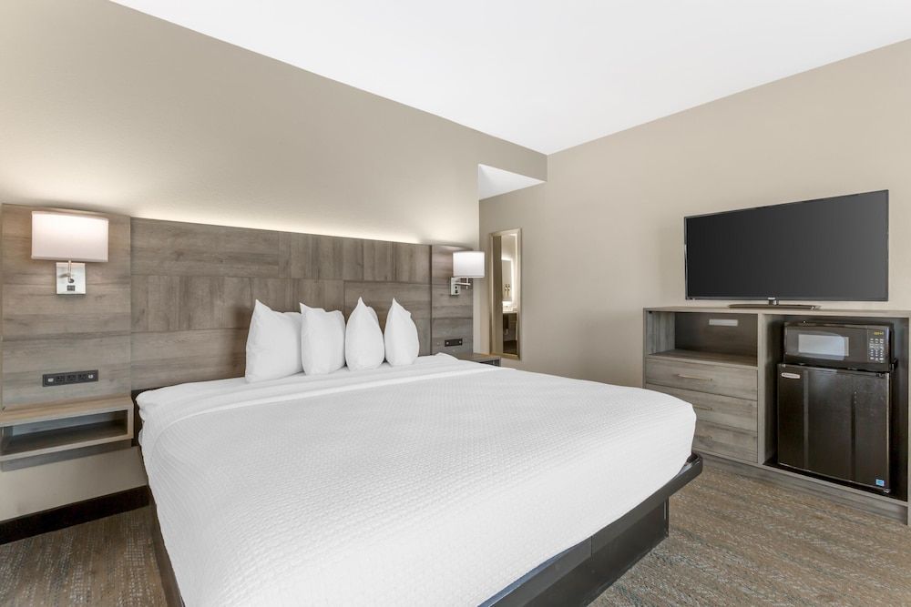 Standard Room, 1 King Bed, Non Smoking, Patio (Larger Room)