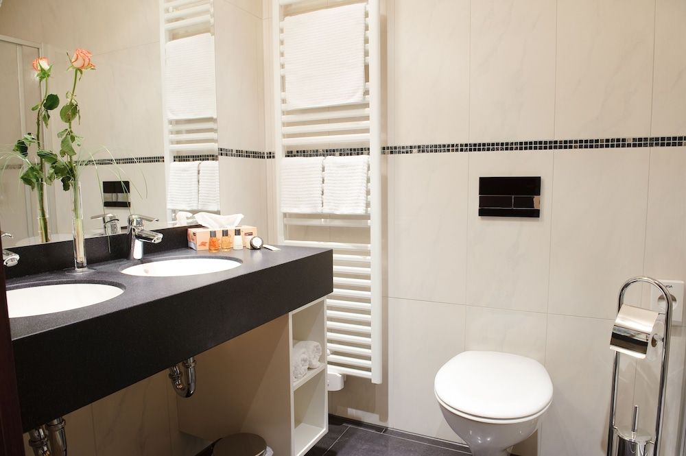 Stadthotel Stern Business Double Room 5