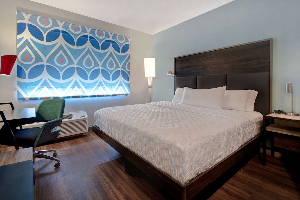 Room, 1 King Bed