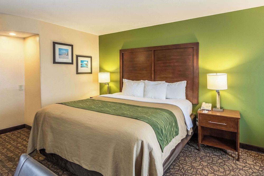 Standard Room, 1 King Bed, Non Smoking