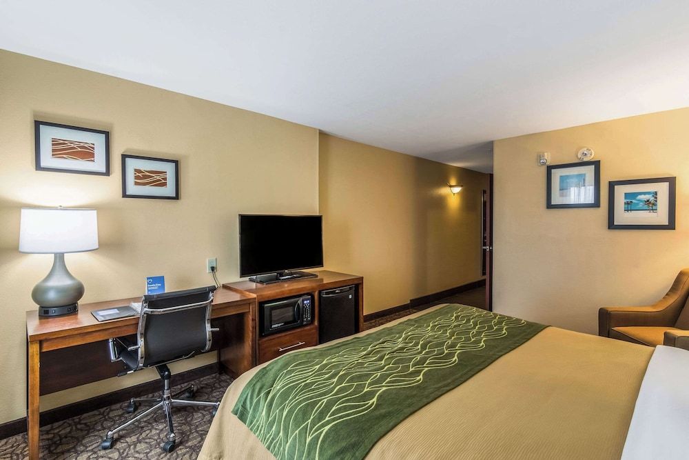 Room, 1 King Bed, Accessible, Non Smoking