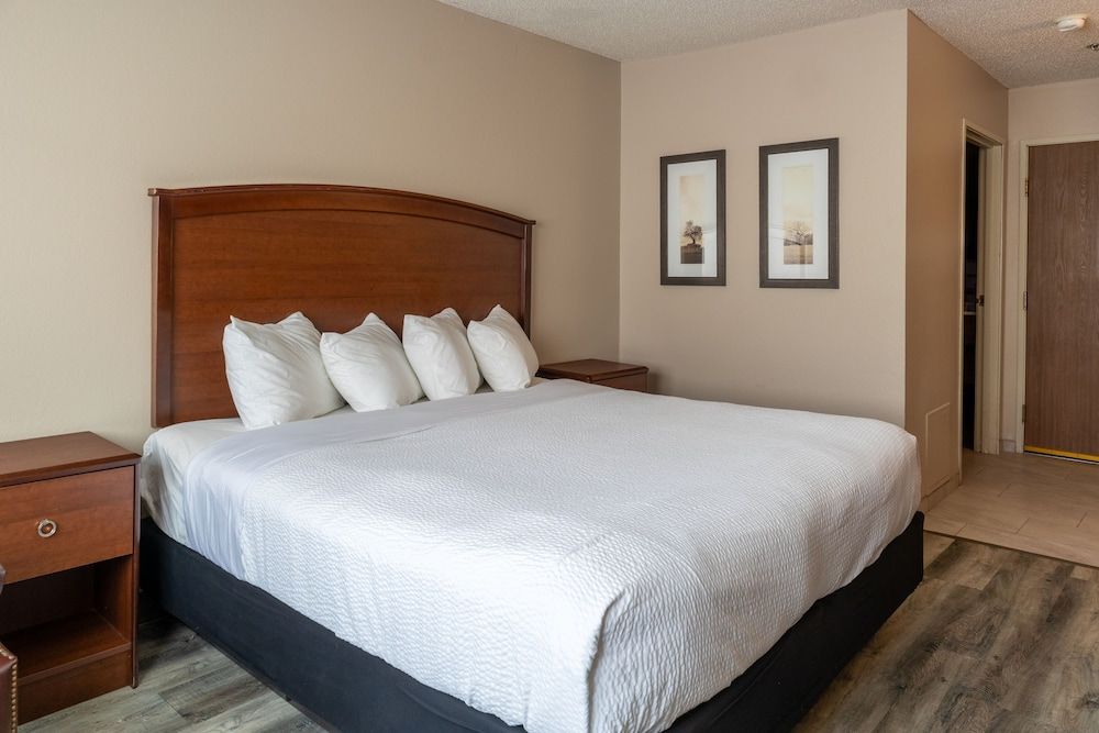 Room, 1 King Bed with Sofa bed (Accessible One King Bed and Sofa Slee)