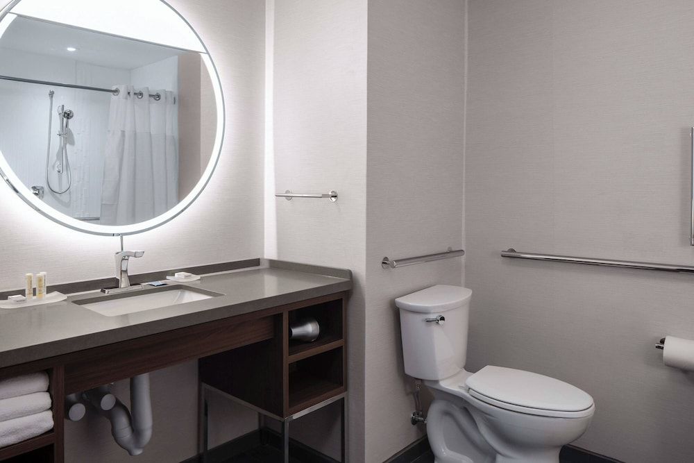 Room, 1 King Bed with Sofa bed (Mobility Accessible, Roll-In Shower)