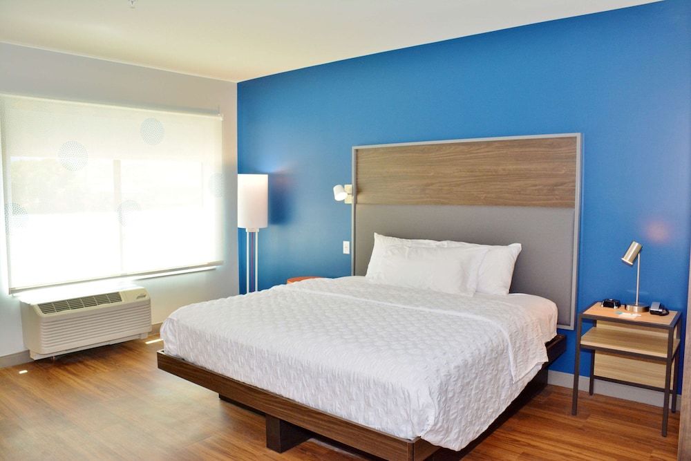 Room, 1 King Bed