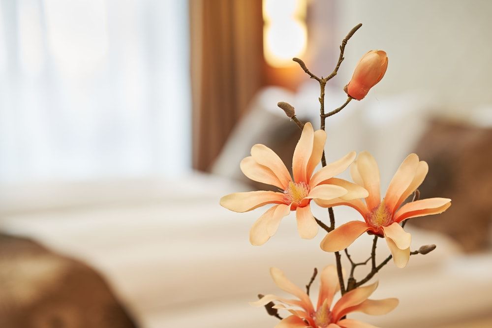 Hotel Meyerhof Lörrach Triple Room 5