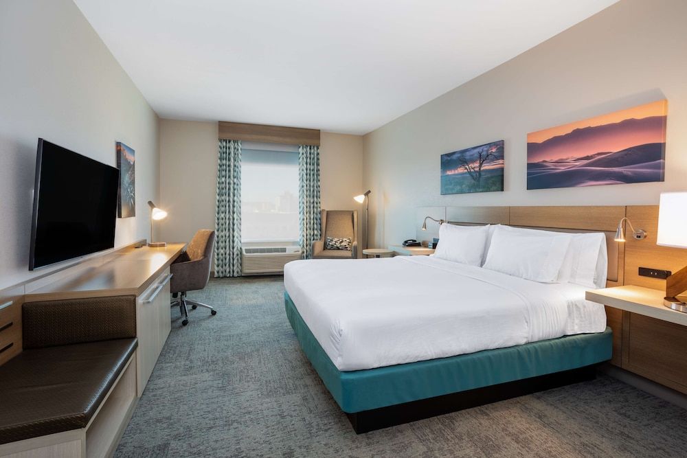 Room, 1 King Bed
