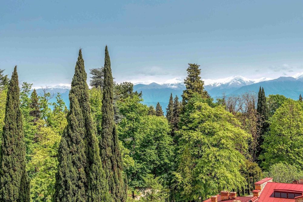 Tsinandali Estate, a Radisson Collection Hotel Premium Room (Collection) 5