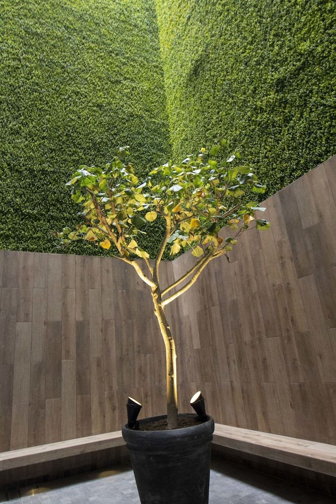 undefined Tierra Viva Miraflores Centro 5