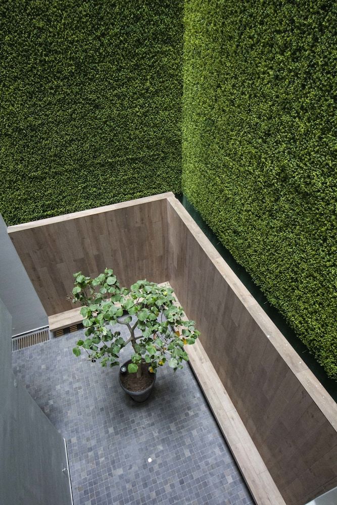 undefined Tierra Viva Miraflores Centro 4