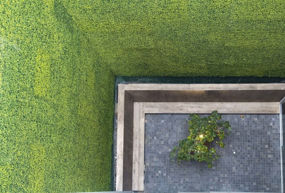 Tierra Viva Miraflores Centro Standard Double or Twin Room 4