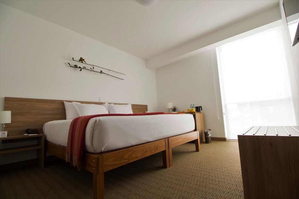 undefined Tierra Viva Miraflores Centro 2