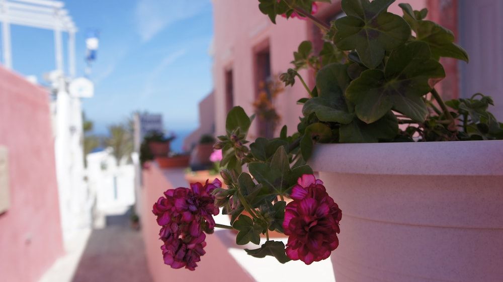 undefined Marcos Rooms 5