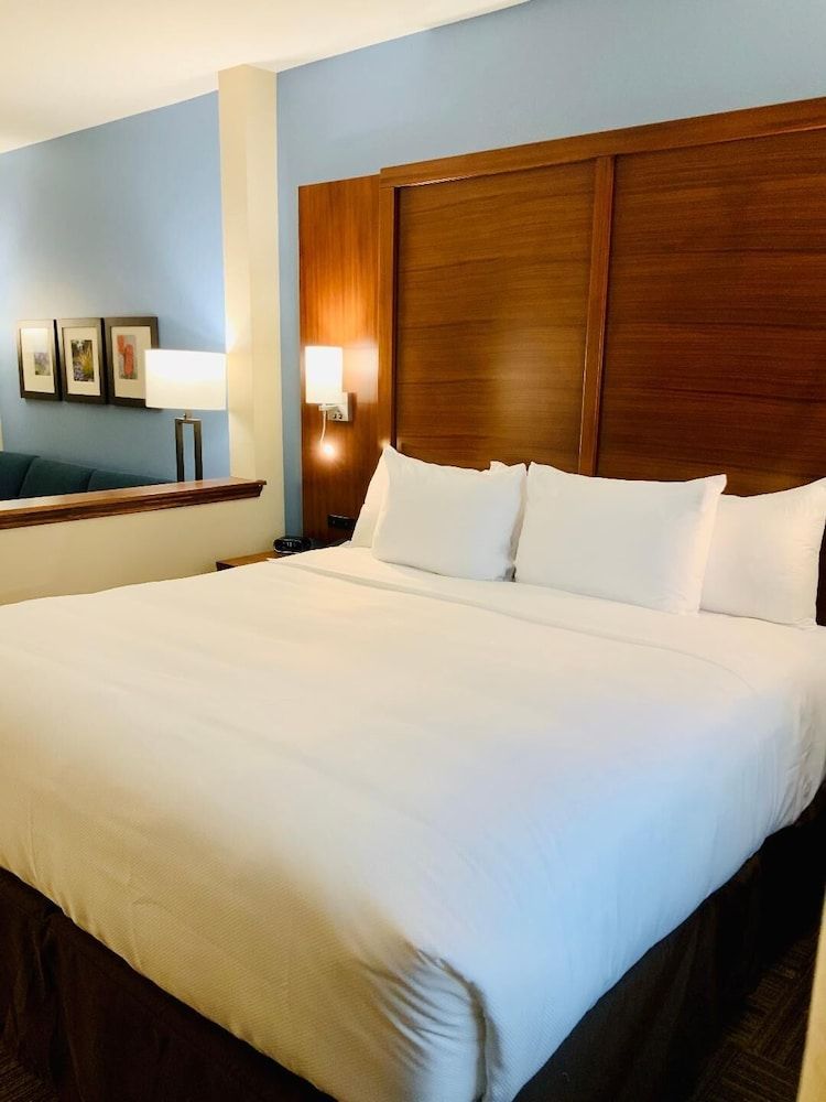 Suite, 1 King Bed with Sofa bed, Accessible, Non Smoking