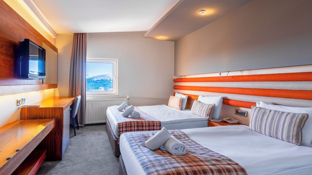 Standard Room, Mountain View