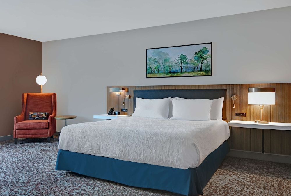 Room, 1 King Bed, Accessible (Roll-In Shower)