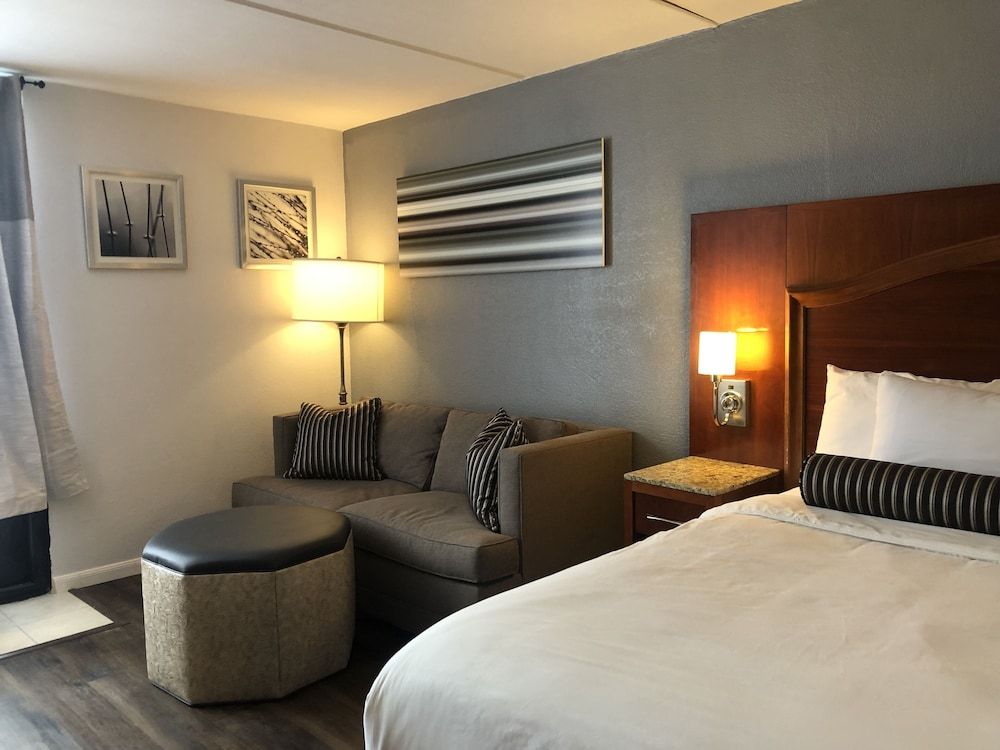 Classic Single Room
