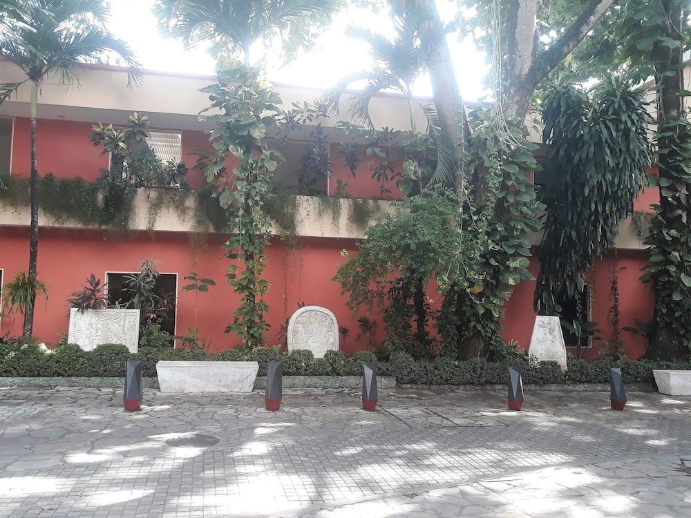 Maya Tulipanes Express