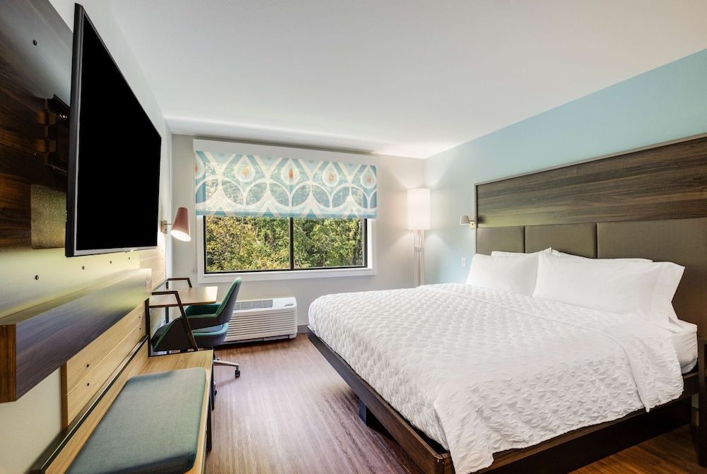 Room, 1 King Bed