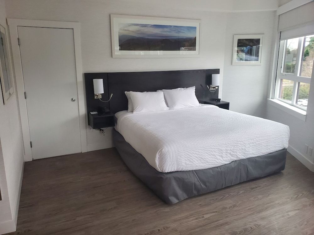 Quality Inn Room, 1 Queen Bed, Non Smoking