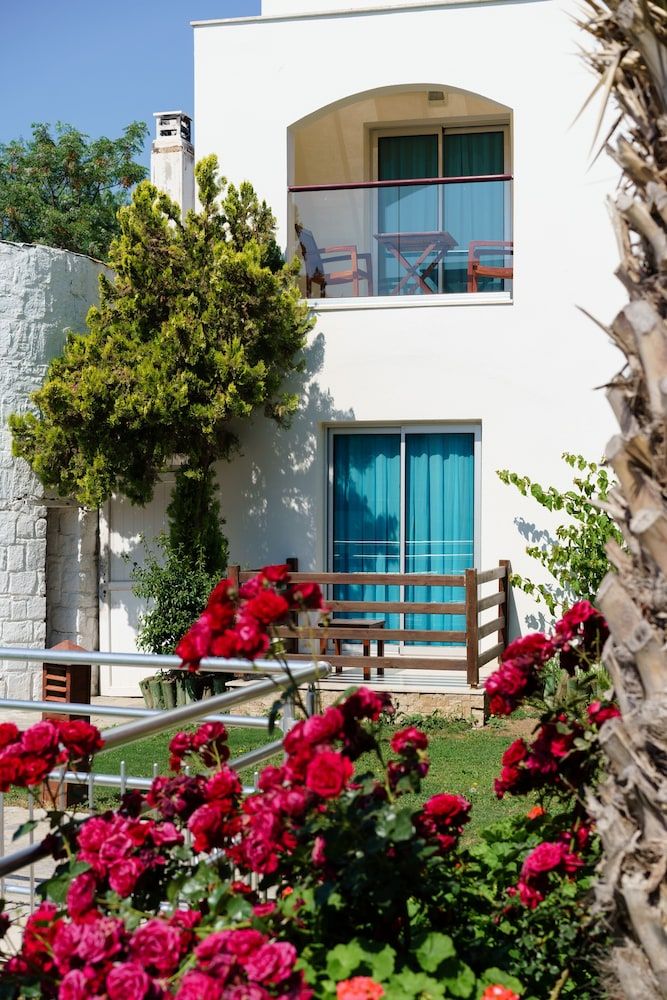 undefined Costa Luvi Hotel 2